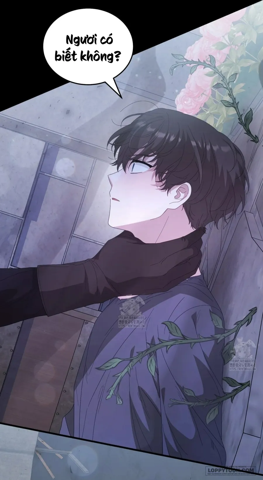 Nàng Tiên, Hãy Ký Hợp Đồng Nào Chap 74 - trang 5