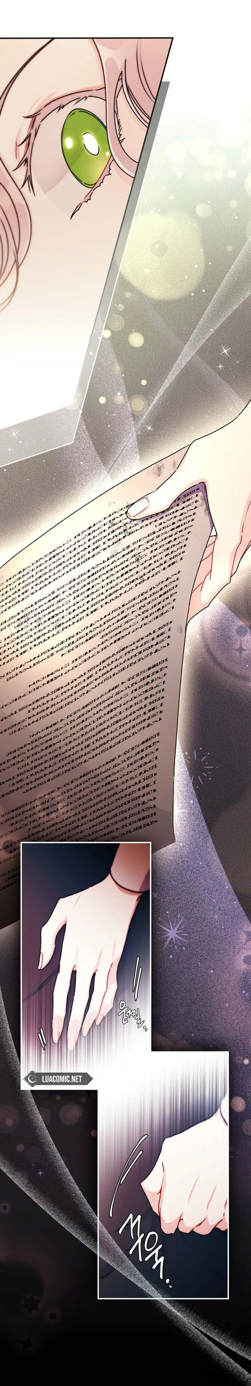 Tôi Đã Trở Thành Con Gái Nuôi Của Nam Chính Chap 143 - trang 12