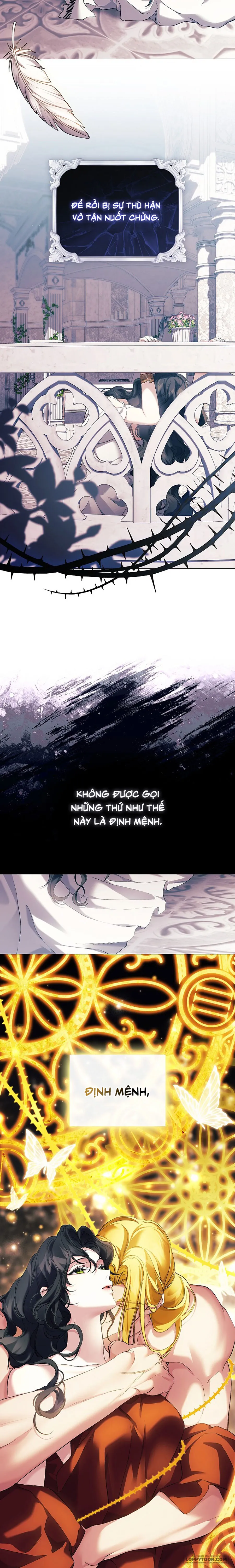 Dành Cho Các Nữ Thần: Dành Cho Daphne Chap 38 - trang 9