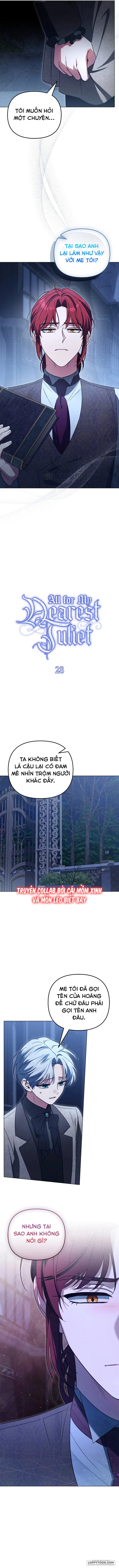 Dành Cho Nàng Juliet Xinh Đẹp Chap 28 - trang 5