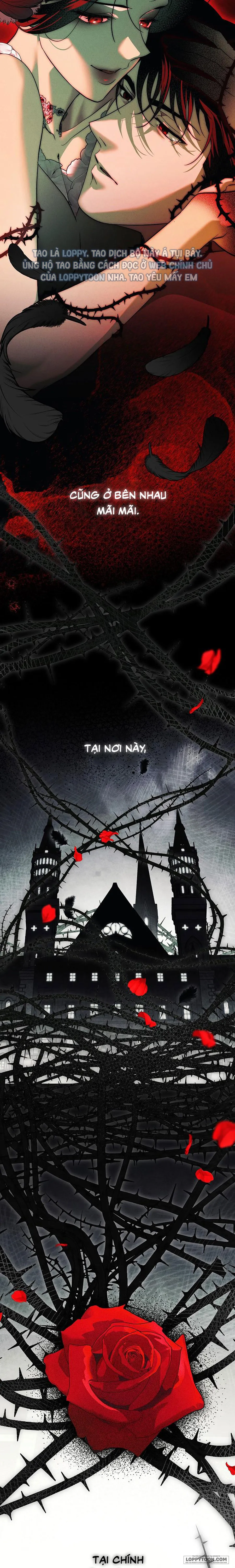 Mộ Thiên Nga Chap 48 - END - trang 31