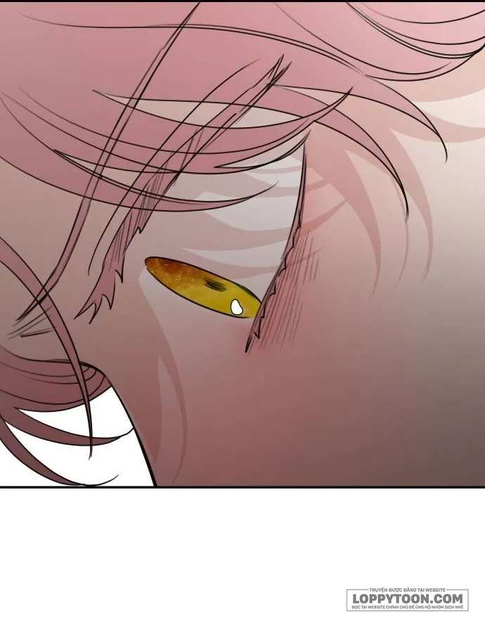 Gia Đình Chồng Quá Ám Ảnh Bởi Tôi Chap 61 - trang 14