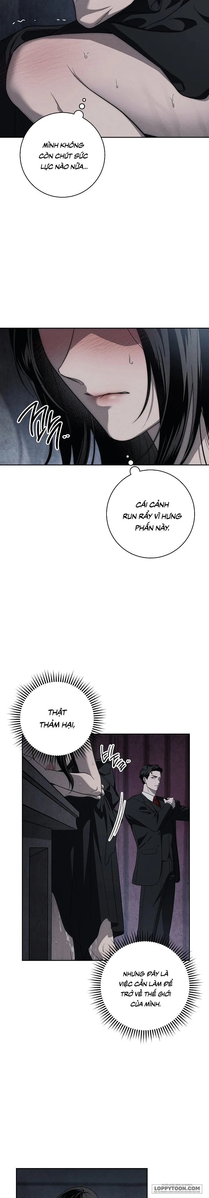 Mộ Thiên Nga Chap 14 - trang 2