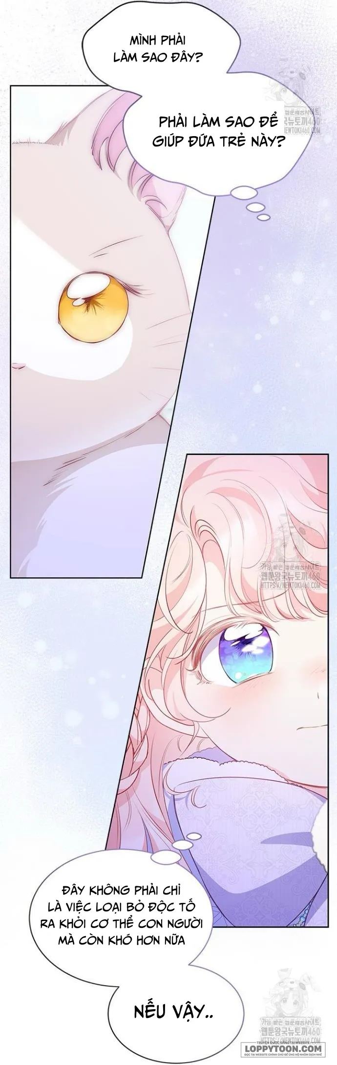 Đã Từ Chối Sủng Ái Rồi Mà Sao Còn Ám Ảnh Thế? Chap 27 - trang 32