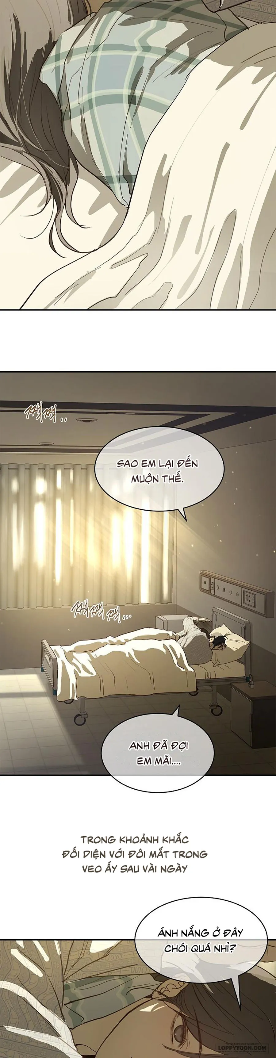 Đóa Hoa Là Mồi Nhử Chap 44 - trang 25