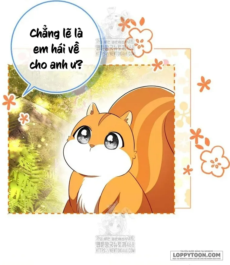Sóc Con Tài Năng Chap 113 - trang 15