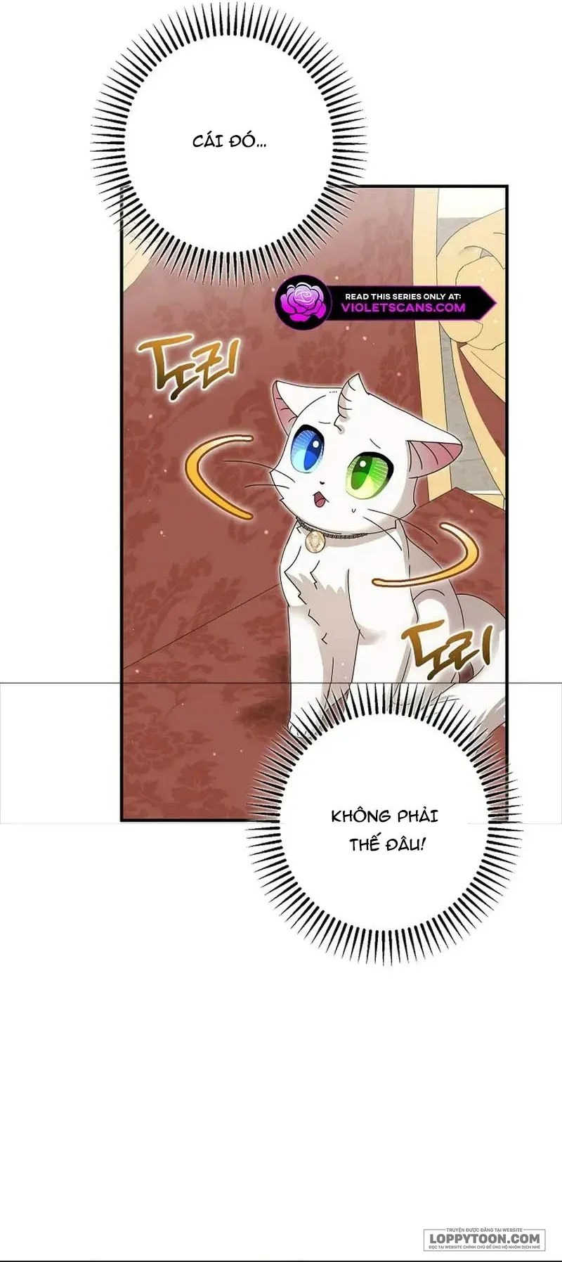Trở Thành Miêu Nữ Của Hoàng Đế Chap 51 - trang 60
