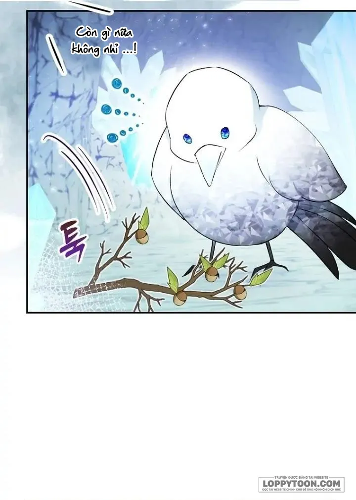 Sóc Con Tài Năng Chap 51 - trang 4