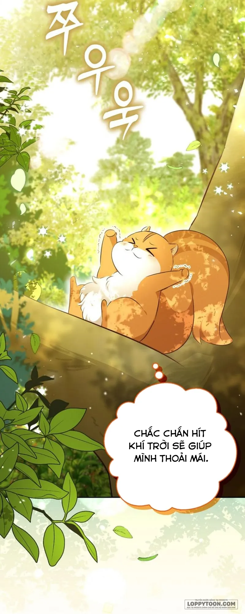 Sóc Con Tài Năng Chap 90 - trang 36