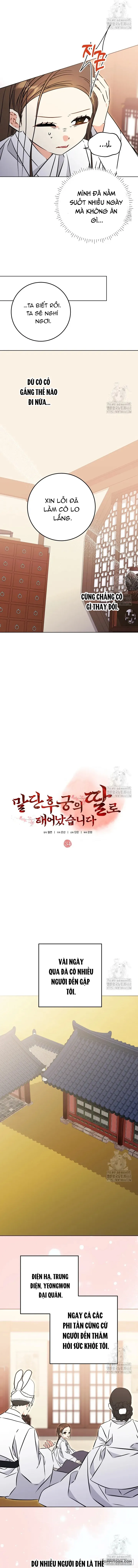 Tôi Sinh Ra Là Con Gái Của Một Cung Phi Hèn Mọn Chap 34 - trang 6