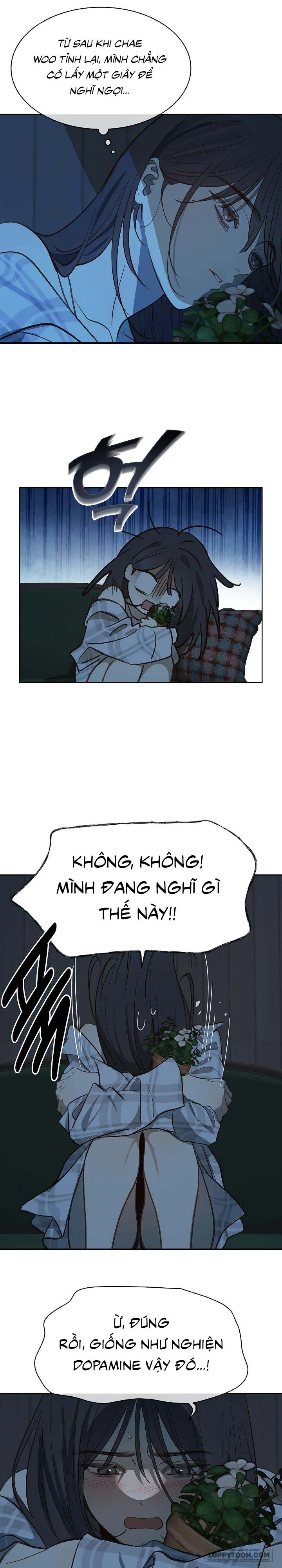 Đóa Hoa Là Mồi Nhử Chap 9 - trang 19