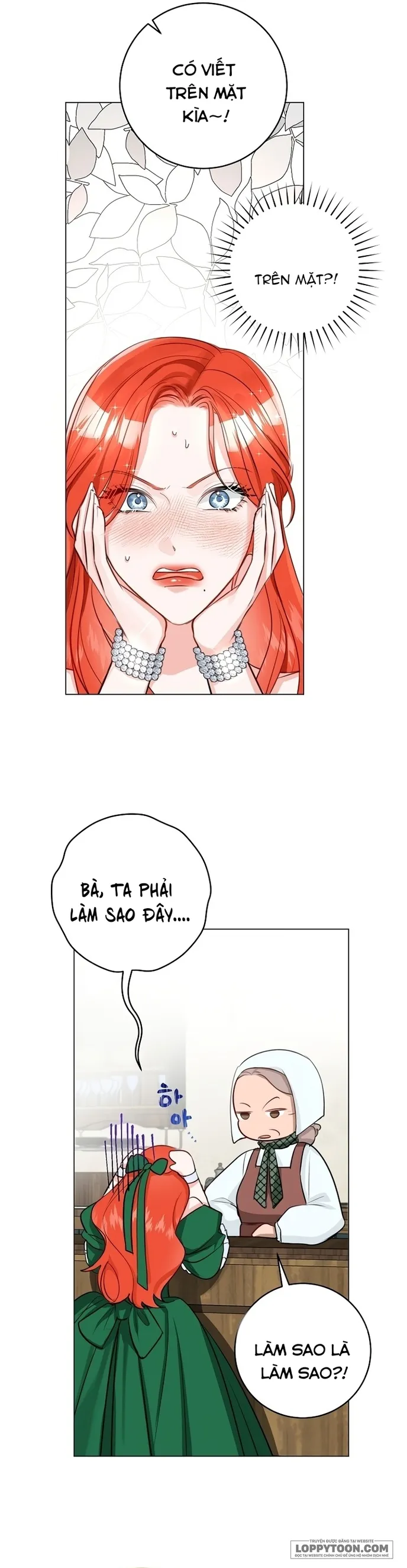 Cuộc Hôn Nhân Xa Hoa Của Đại Công Tước Là Giả Chap 29 - trang 25