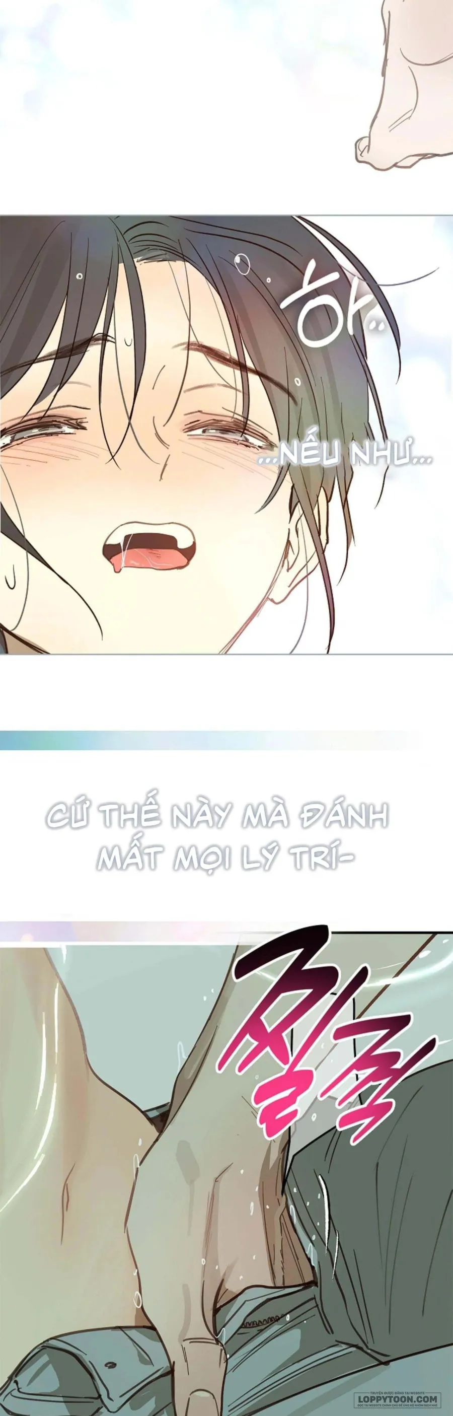 Đóa Hoa Là Mồi Nhử Chap 30 - 🔞 - trang 27