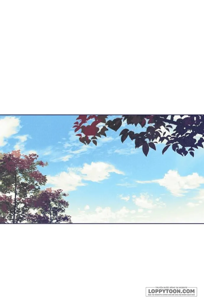 Trắc Nghiệm 4 Lựa Chọn Chap 8 - trang 47