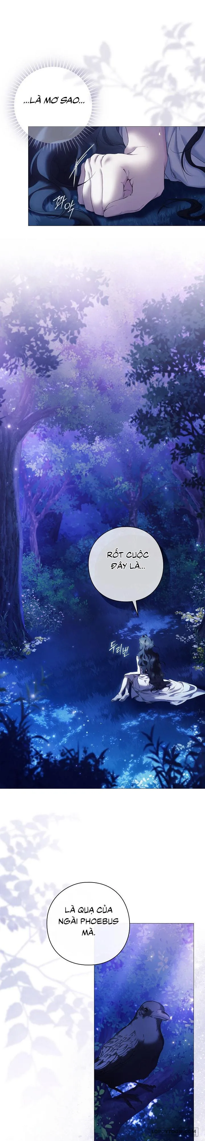 Dành Cho Các Nữ Thần: Dành Cho Daphne Chap 6 - trang 11