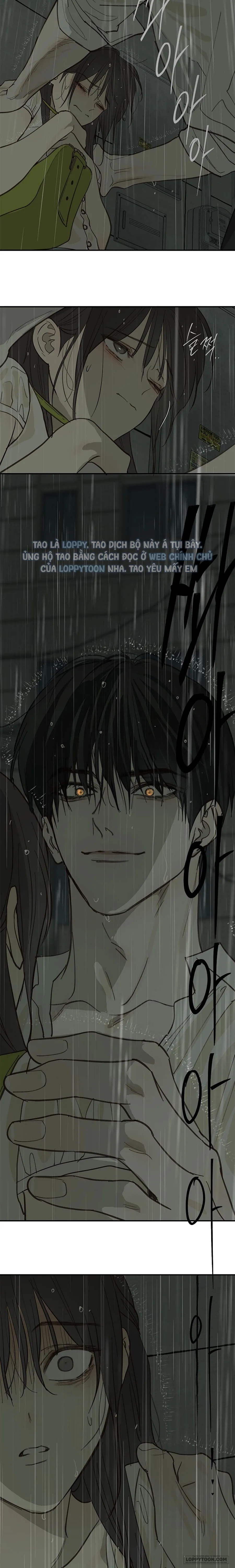 Đóa Hoa Là Mồi Nhử Chap 47 - trang 13