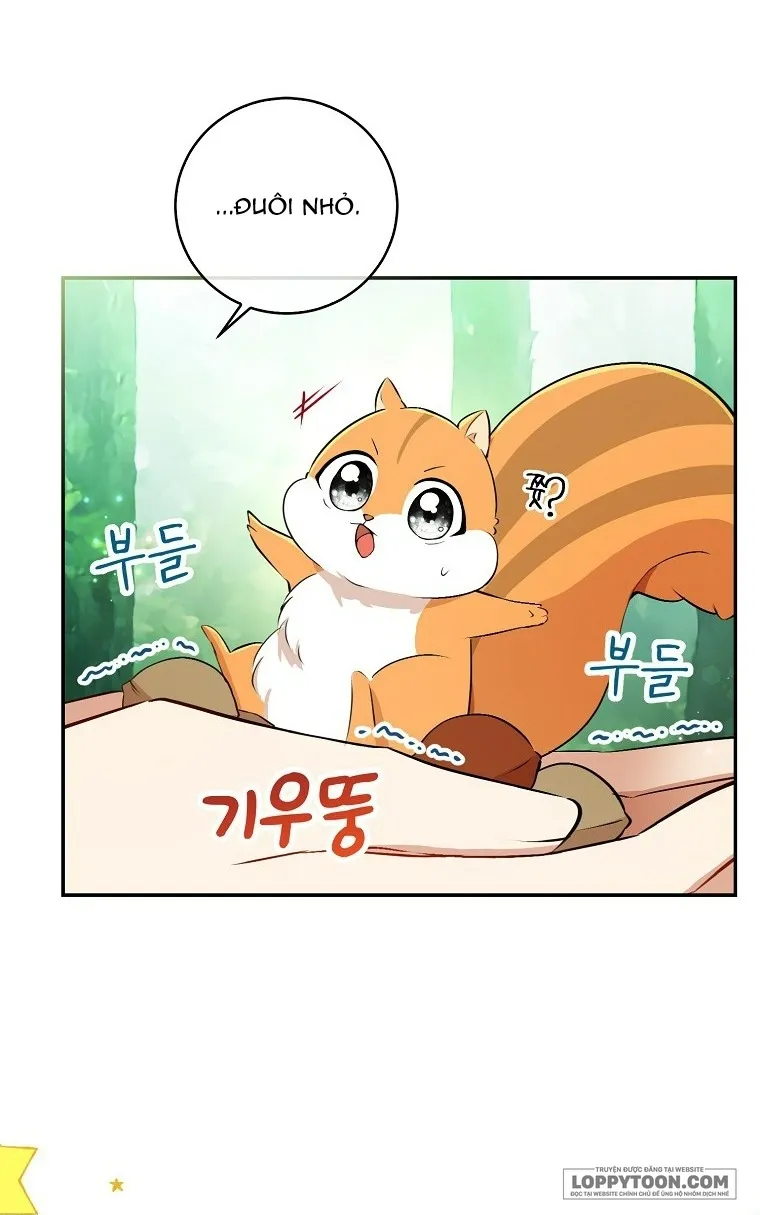 Sóc Con Tài Năng Chap 29 - trang 27
