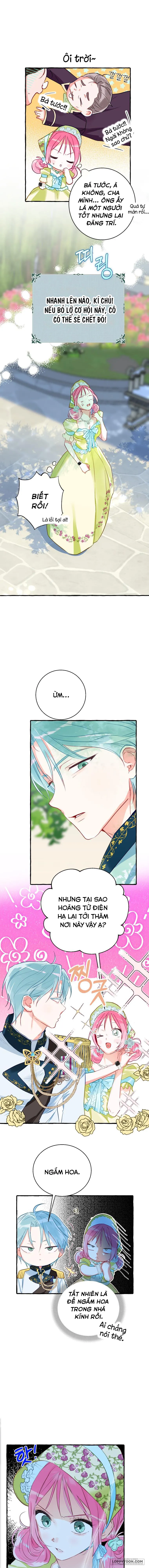 Bạn Sẽ Chết Nếu Không Biết Luật Tiểu Thuyết Chap 4 - trang 5
