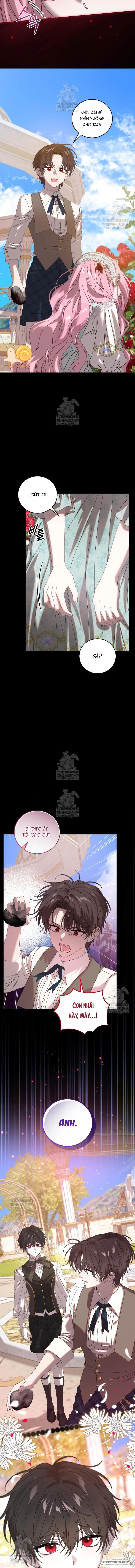 Kẻ Ám Ảnh Cuồng Tín Đang Cố Giam Cầm Tôi Chap 12 - trang 5