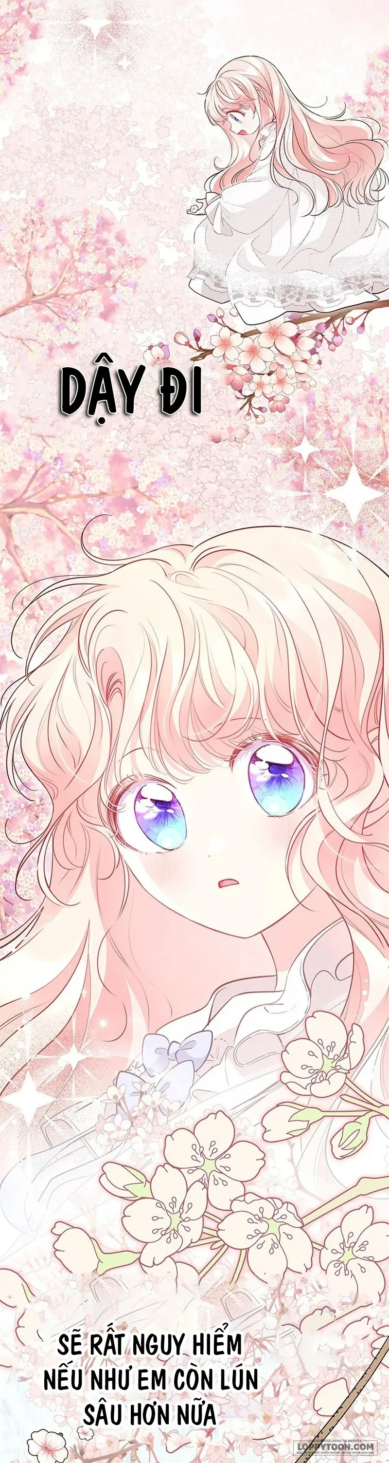 Đã Từ Chối Sủng Ái Rồi Mà Sao Còn Ám Ảnh Thế? Chap 14 - trang 17