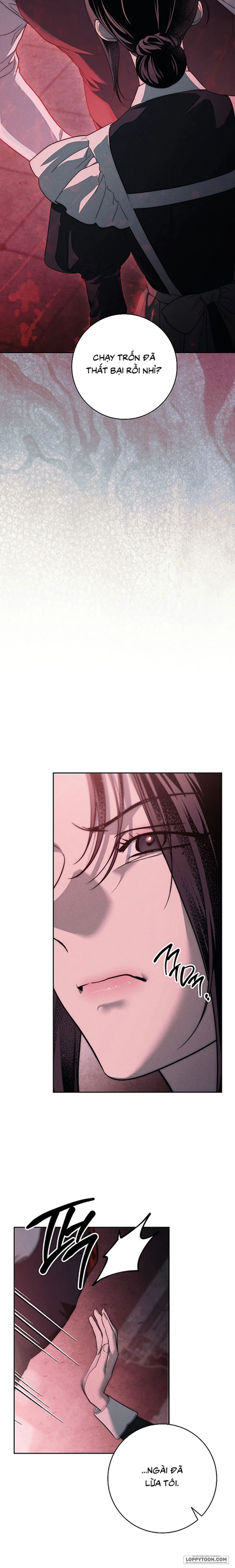 Mộ Thiên Nga Chap 39 - trang 23