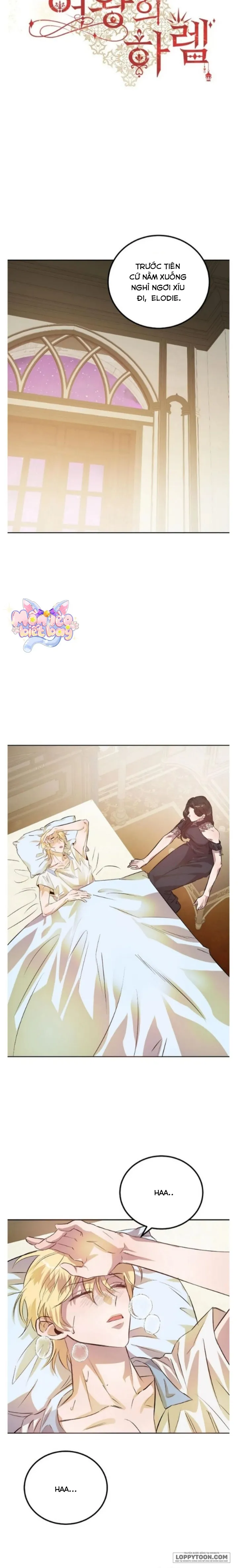 Hậu Cung Của Nữ Hoàng Chap 15 - trang 2