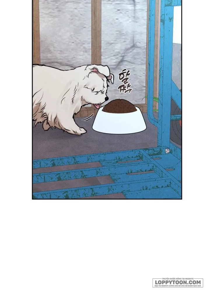 Cho Đến Khi Hóa Thành Đóa Lan Chap 10 - trang 14