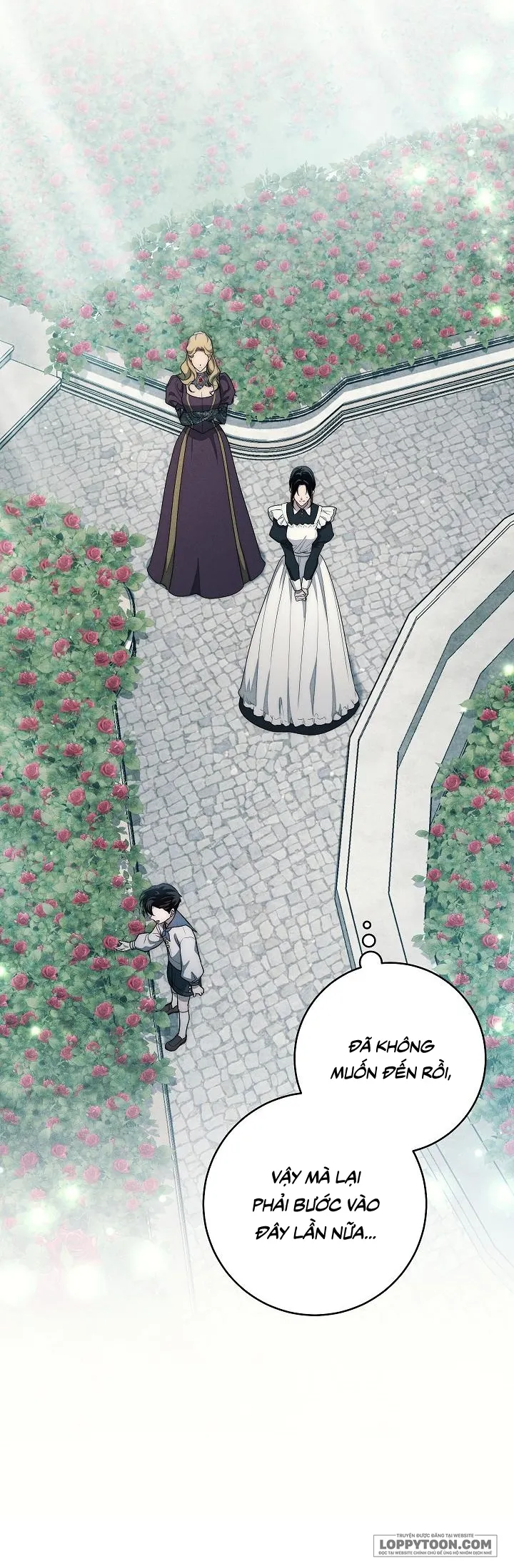 Mộ Thiên Nga Chap 22 - trang 3