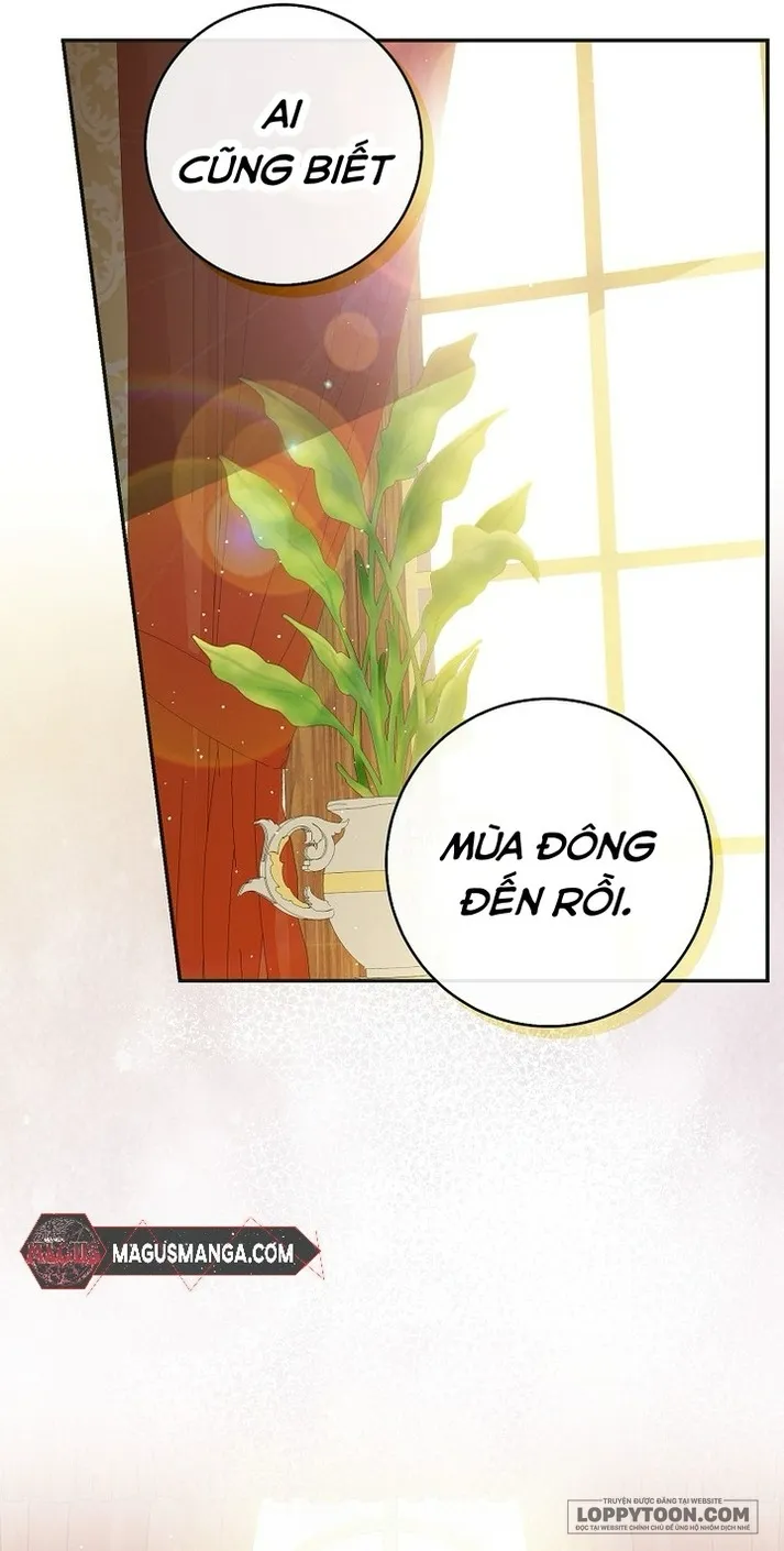 Sóc Con Tài Năng Chap 69 - trang 17