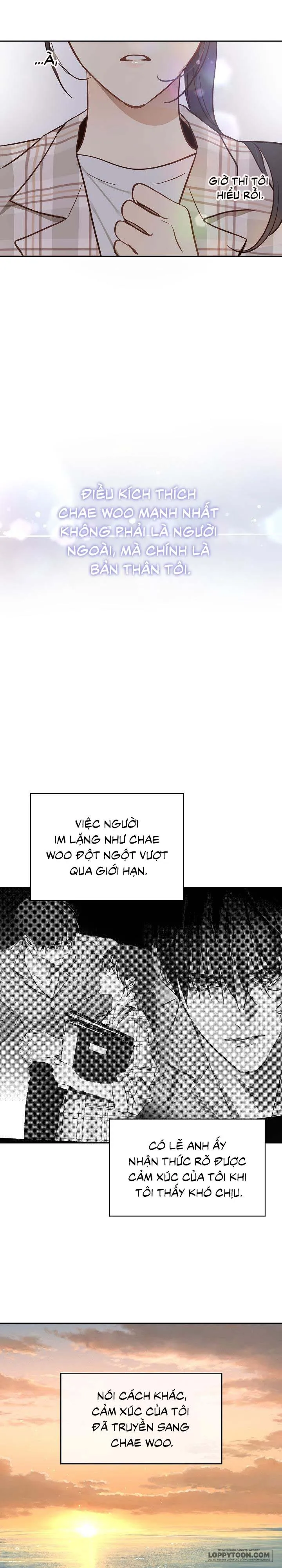 Đóa Hoa Là Mồi Nhử Chap 12 - trang 19