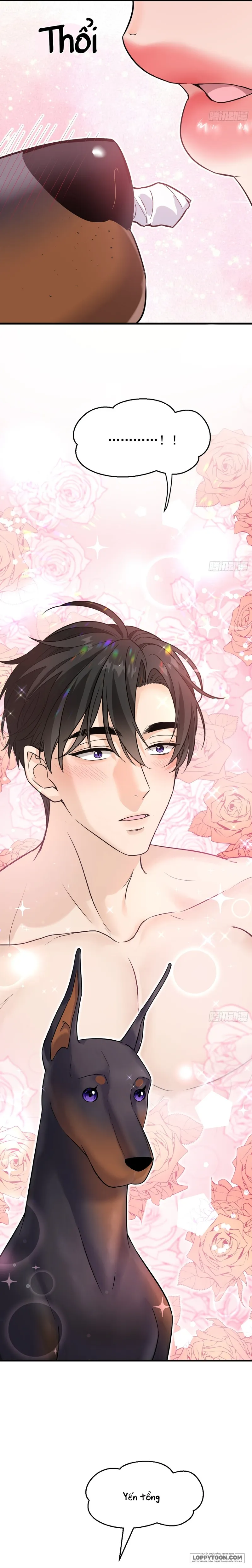 Gã Đàn Ông Này Đúng Là Cẩu Nam Nhân Chap 6 - trang 20