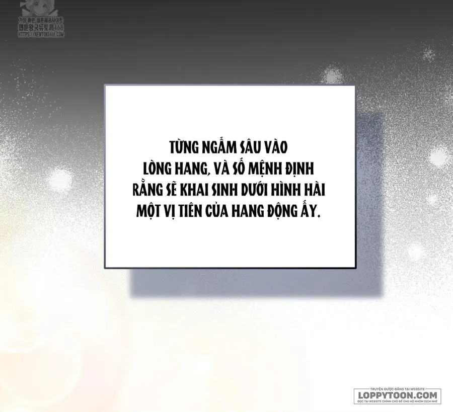 Nàng Tiên, Hãy Ký Hợp Đồng Nào Chap 75 - trang 4
