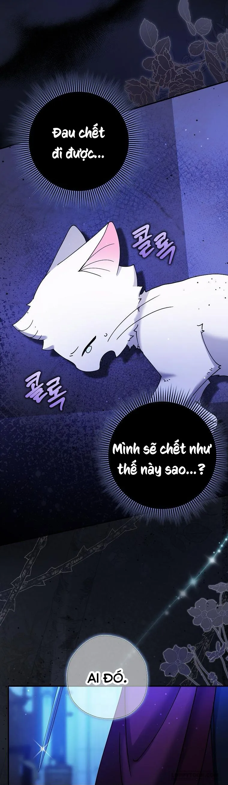 Trở Thành Miêu Nữ Của Hoàng Đế Chap 4 - trang 30