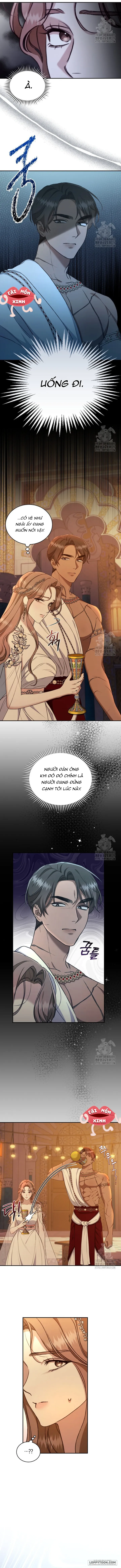 Khu Rừng Hoang Dã Chap 23 - trang 10