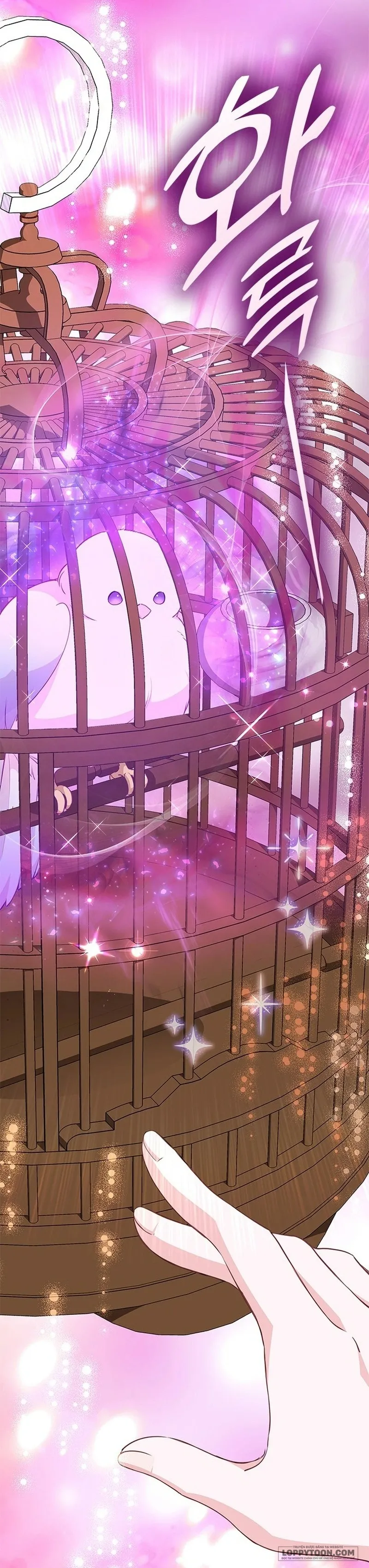 Đã Từ Chối Sủng Ái Rồi Mà Sao Còn Ám Ảnh Thế? Chap 24 - trang 26