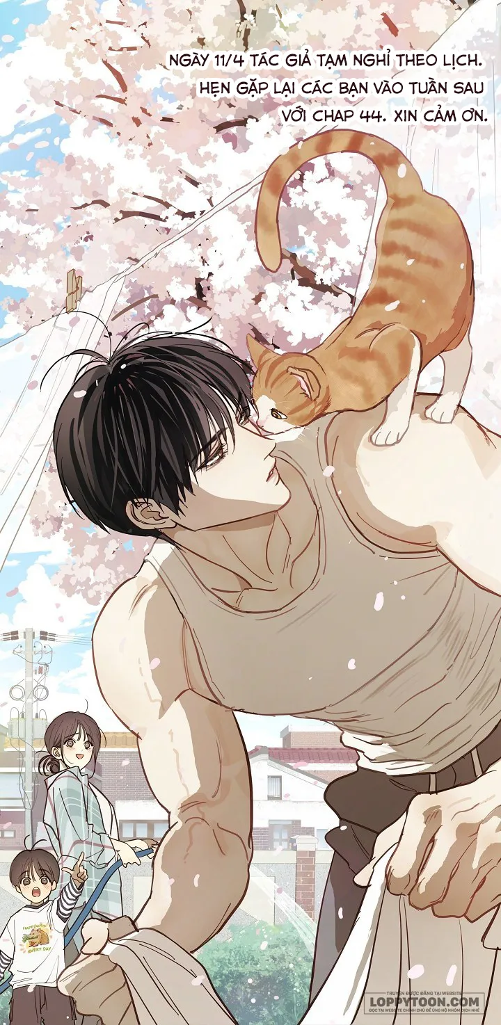 Đóa Hoa Là Mồi Nhử Chap 43.5 - Thông báo - trang 1