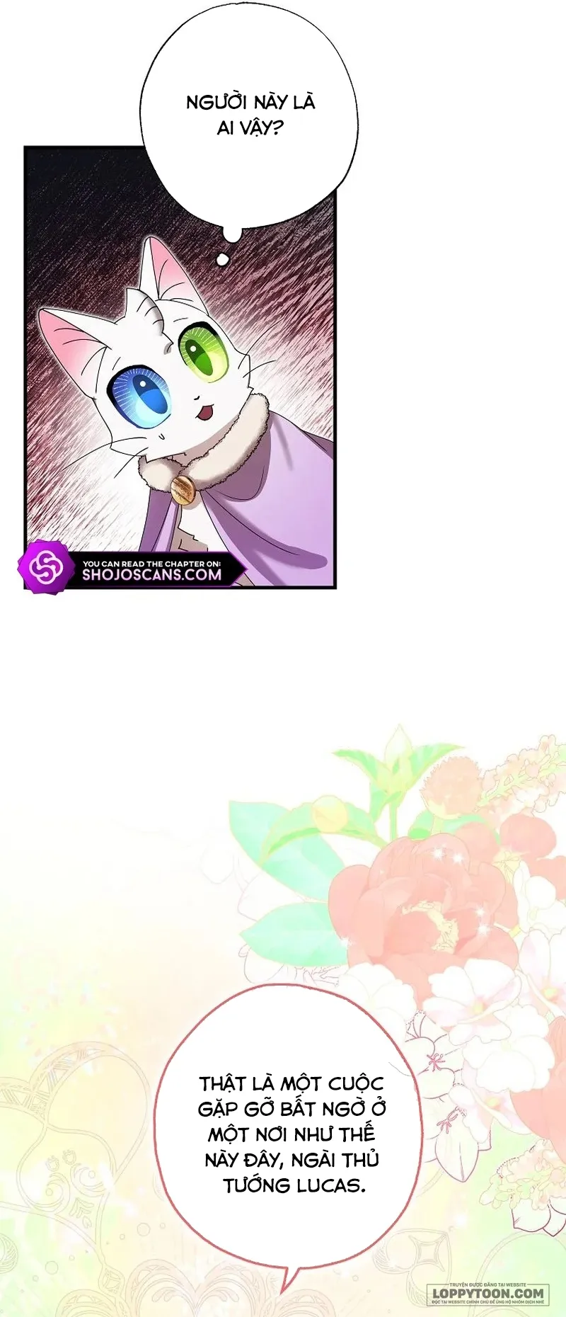 Trở Thành Miêu Nữ Của Hoàng Đế Chap 28 - trang 47
