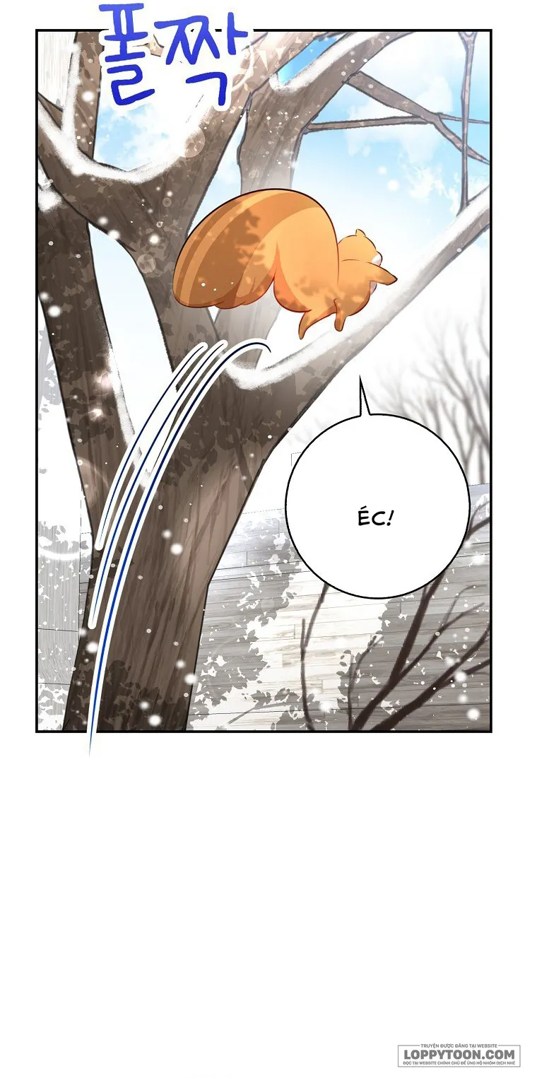 Sóc Con Tài Năng Chap 22 - trang 42
