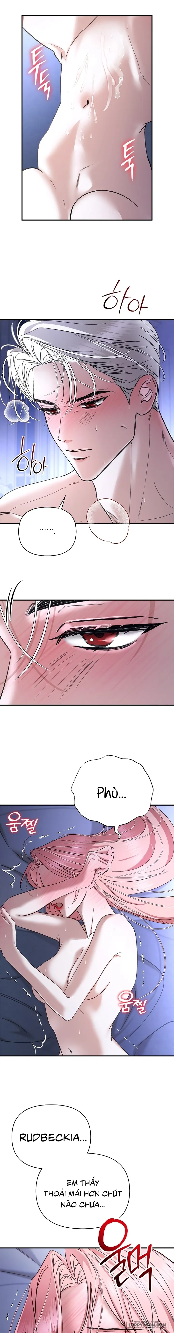 Em Đã Ăn Thay Chồng Rồi Chap 7 - 🔞🔞🔞🔞 - trang 14