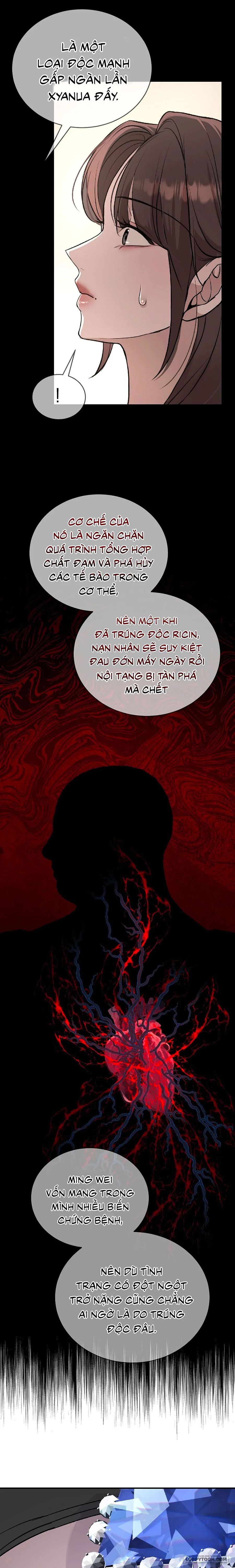 Chó Hoang Mơ Giấc Mơ Săn Mồi Chap 11 - trang 7