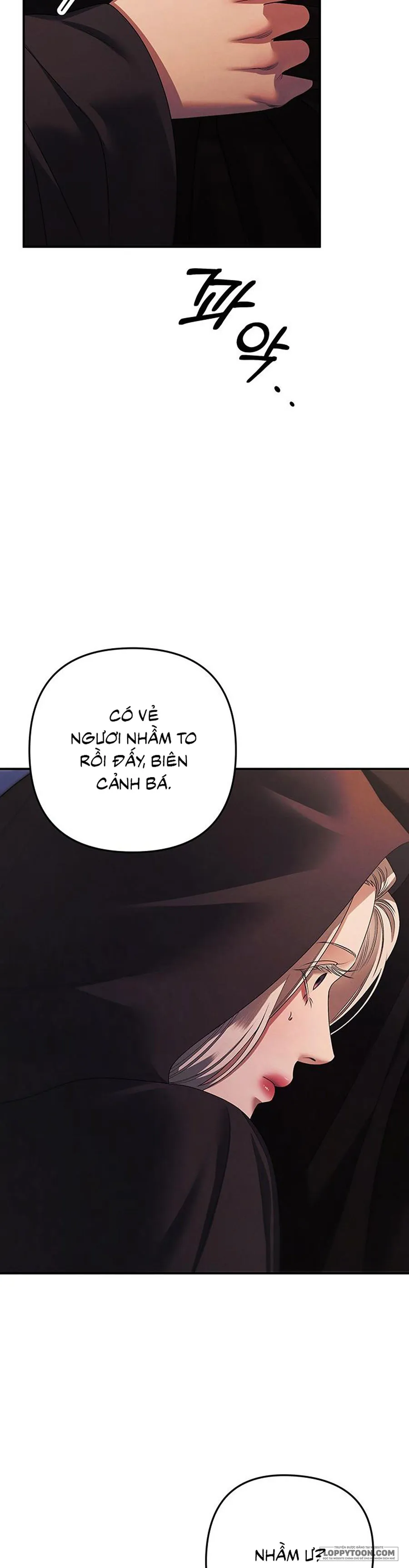 Cuộc Hôn Nhân Bị Cướp Đoạt Chap 15 - trang 25