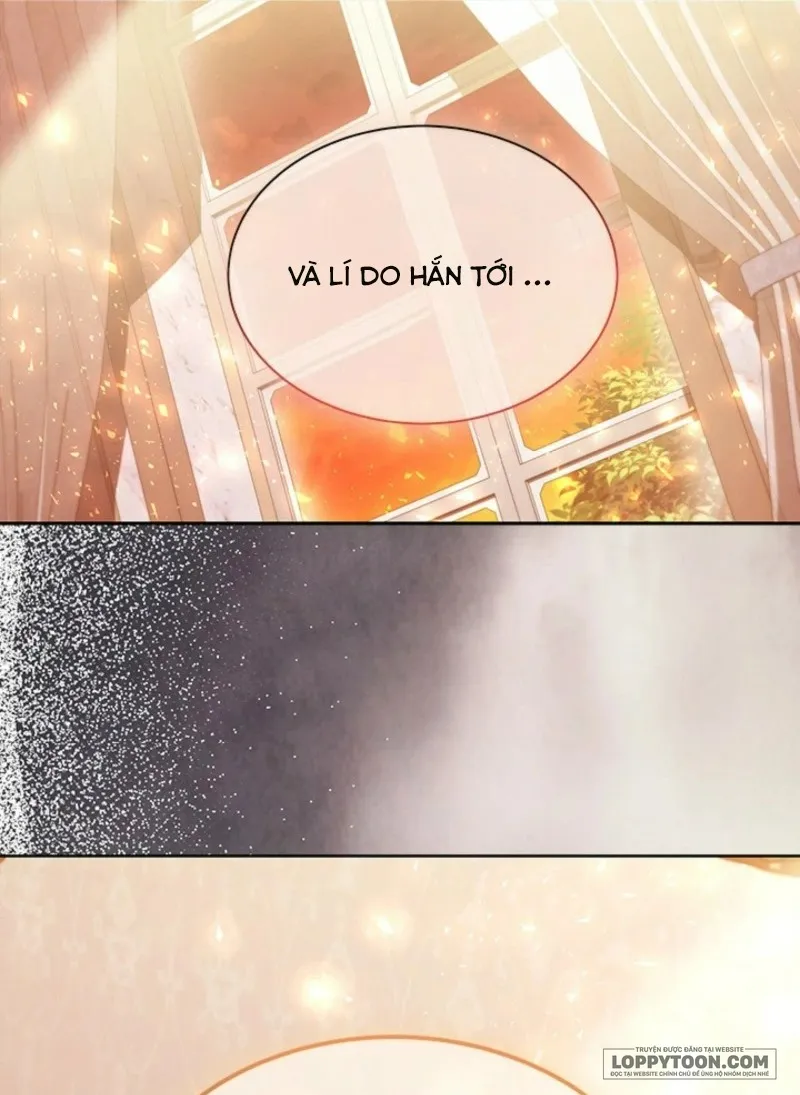 Đã Từ Chối Sủng Ái Rồi Mà Sao Còn Ám Ảnh Thế? Chap 59 - trang 56