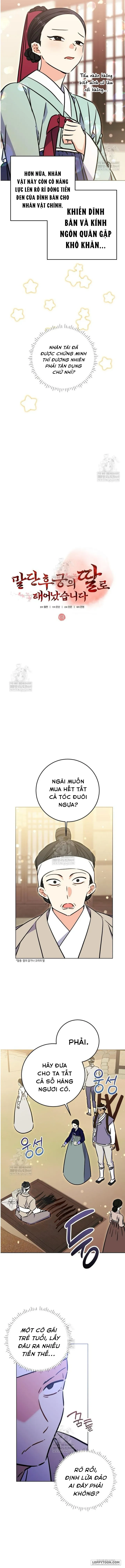 Tôi Sinh Ra Là Con Gái Của Một Cung Phi Hèn Mọn Chap 61 - trang 3