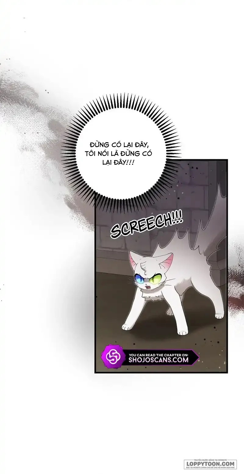 Trở Thành Miêu Nữ Của Hoàng Đế Chap 25 - trang 20