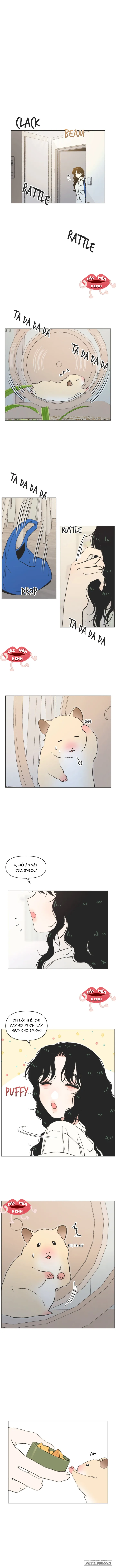 Thanh Xuân Ngọt Ngào Chap 40 - trang 1