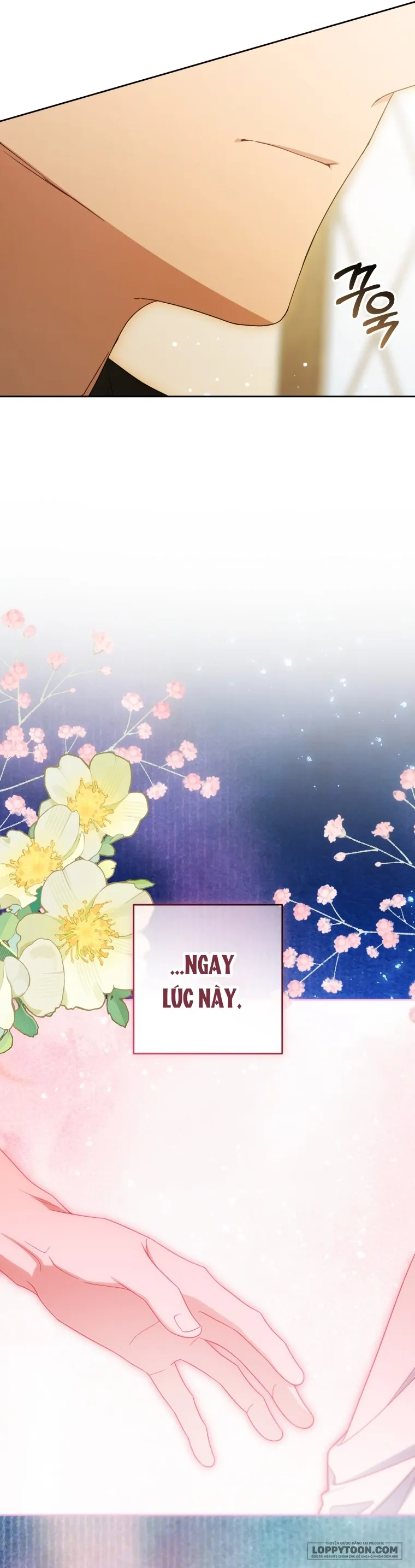 Được Yêu Thương Mà Còn Ngại Ngùng Sao Chap 117 - trang 27