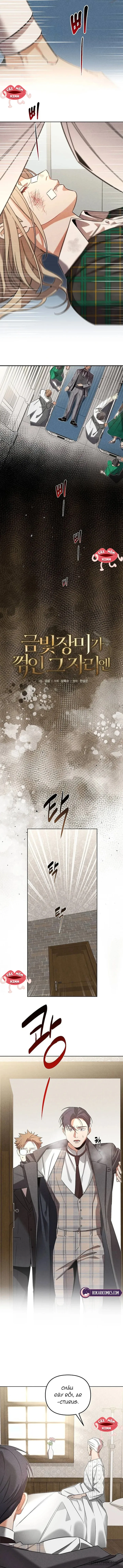 Nơi Đóa Hồng Vàng Úa Tàn Chap 10 - trang 3
