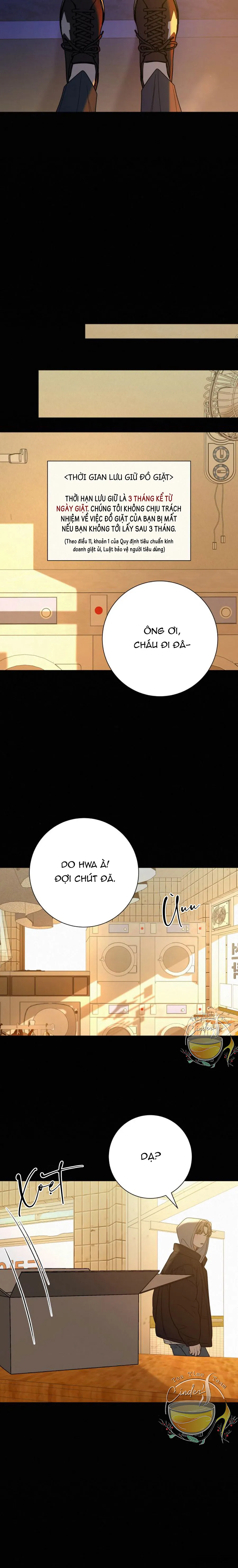 Chiến Lược Tình Yêu Trong Sáng Chap 80 - trang 15