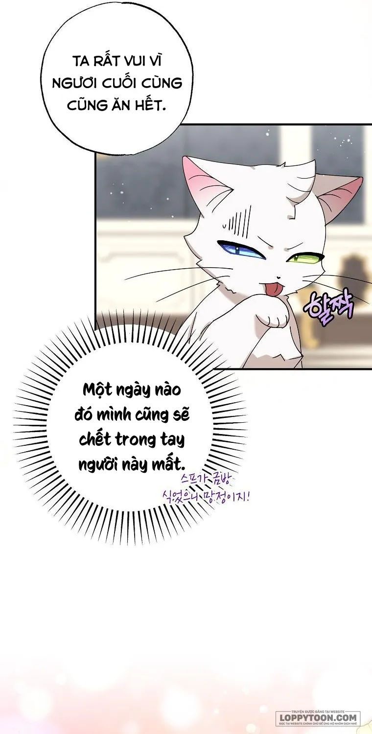 Trở Thành Miêu Nữ Của Hoàng Đế Chap 5 - trang 35