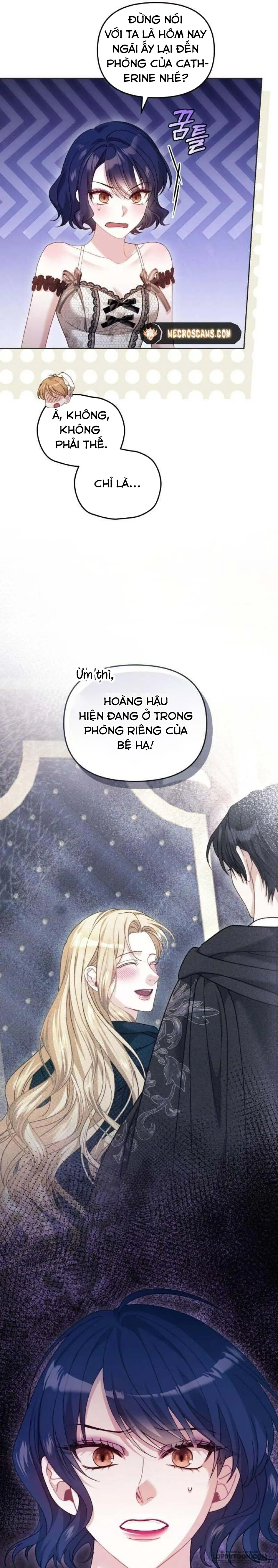 Tôi Đã Trải Qua Đêm Đầu Tiên Dù Chỉ Là Hoàng Hậu Thay Thế Chap 19 - trang 27